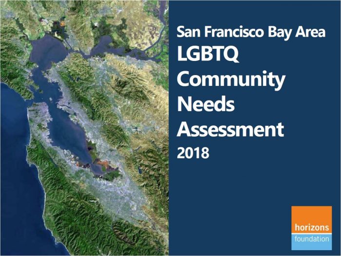 2018 SF Bay Area LGBTQ Community Needs Assessment