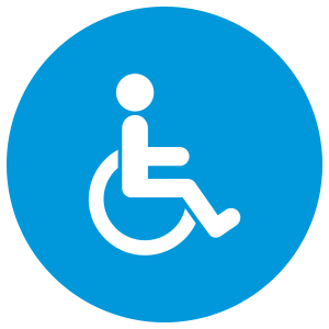 Disabled icon