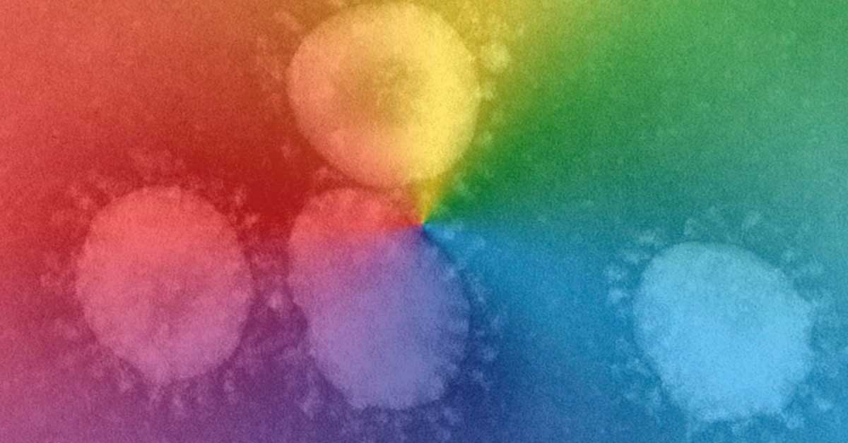 Photograph of virus with rainbow overlay