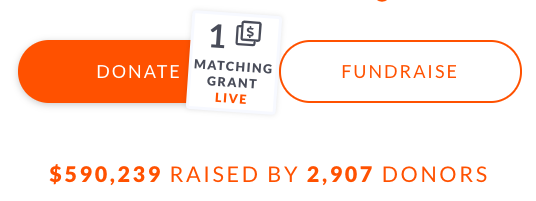 Screenshot of live matching grant