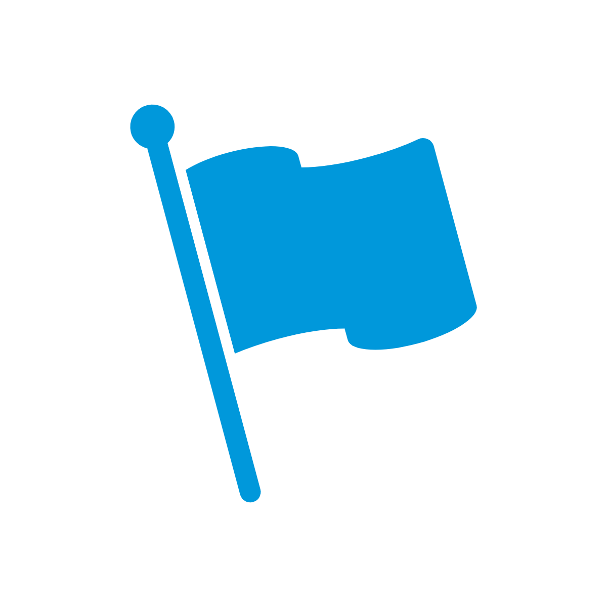 Flag icon